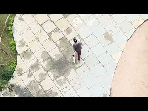 Stella the cat comes running towards Priyanka