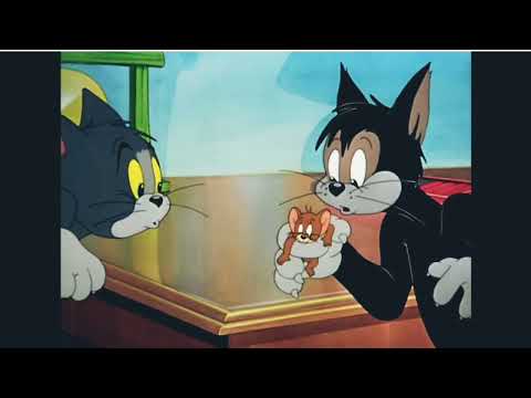 @funny chlip #everyonehighlights tom Jerry