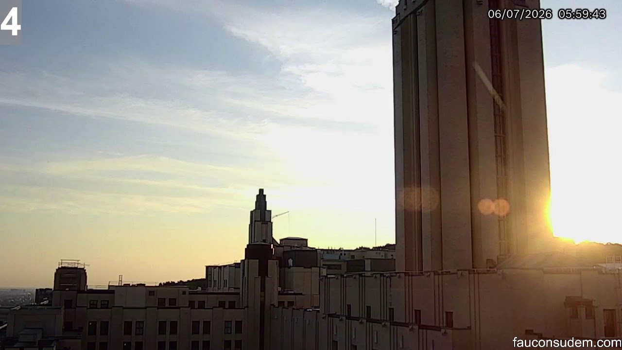 Live webcam view of Azotea de la Universidad de Montreal