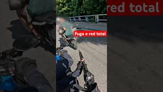 Fugiram mas não foram longe. Acabaram na jaula. Crédito: Cop Noronha, Luís Peixoto e Chaves Cop