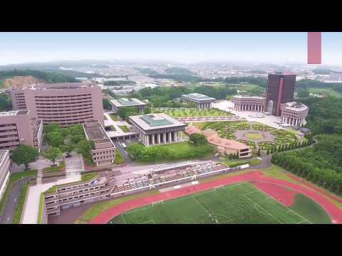 メディア学部