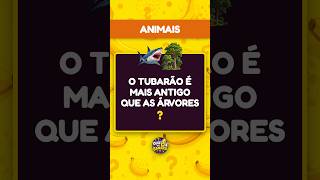 Capa de Animais #03