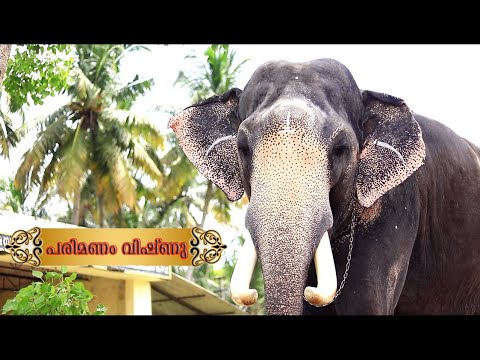 changalakilukkam (episode 15)  PARIMANAM VISHNU