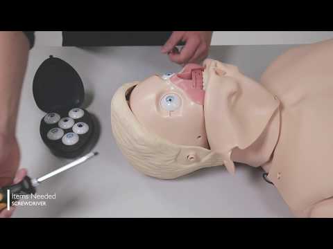 Resusci Anne QCPR