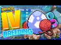 How To Breed For BETTER IVs In PBB!! (PBB Updated IV Breeding Guide!!) | Pokémon Brick Bronze