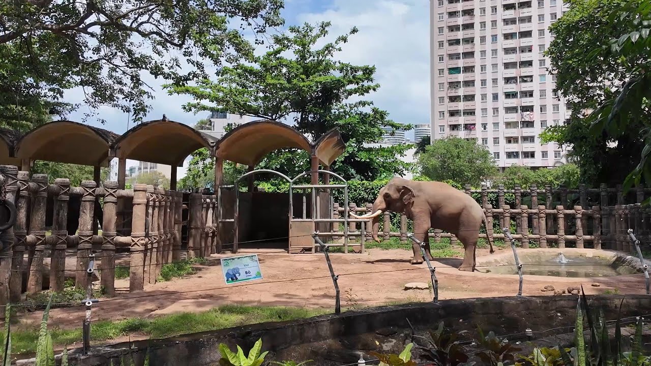 Experience the thrill as you explore Saigon Zoo, a tourist's delight!