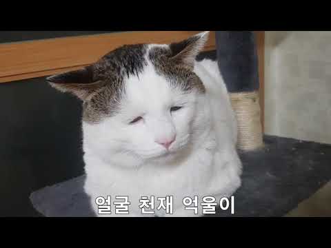 아이콘