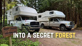 Truck Camper Living On Northern Vancouver Island With Friends