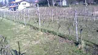 campestre csi godo di gemona 200902