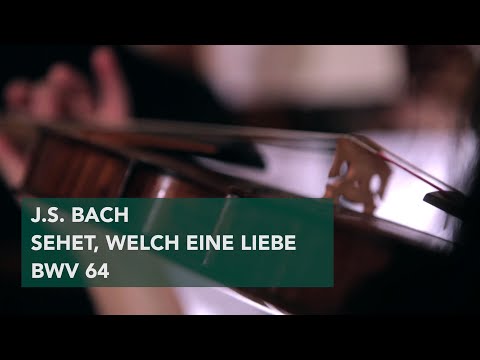 Concerto Copenhagen