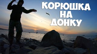 Когда корюшка клюет лучше на финском заливе