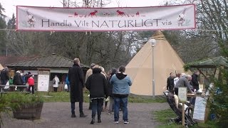 preview picture of video 'JULMARKNAD HUNNEBERG'