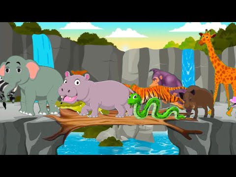 Wild Animal Sounds Song | Animals Song For Kids | These Are The Animal Sounds | Wild Animals Name