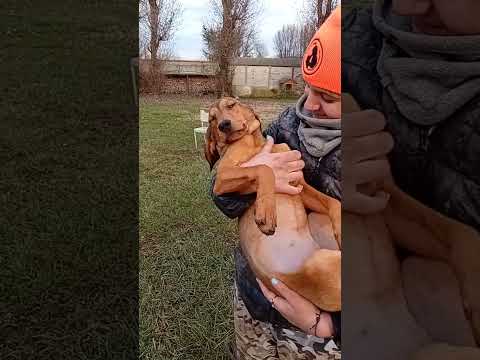 Video di PRALINA