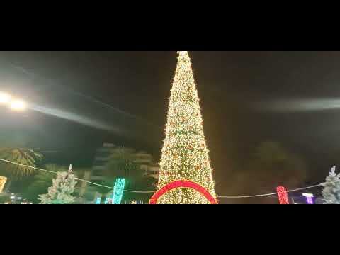 Aquiteven : 7.121 SOGAMOSO BOYACÁ QUÉ ÁRBOL DE NAVIDAD TRAIGA  PAZ, SEGURIDAD Y PROSPERIDAD 2.026