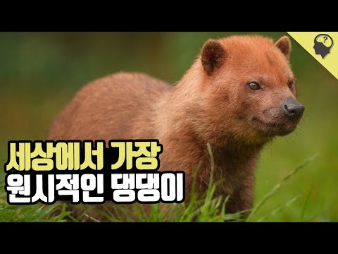 아이콘