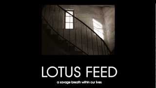 LOTUS FEED - King For Two Days