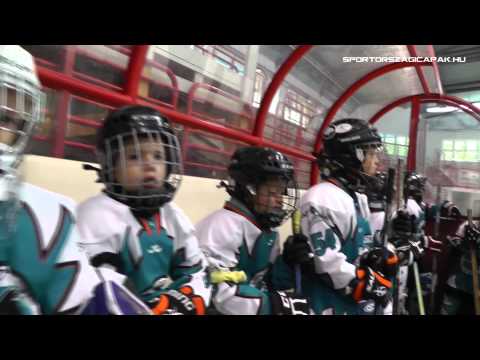 Sportországi Cápák - kedvcsináló - 2013