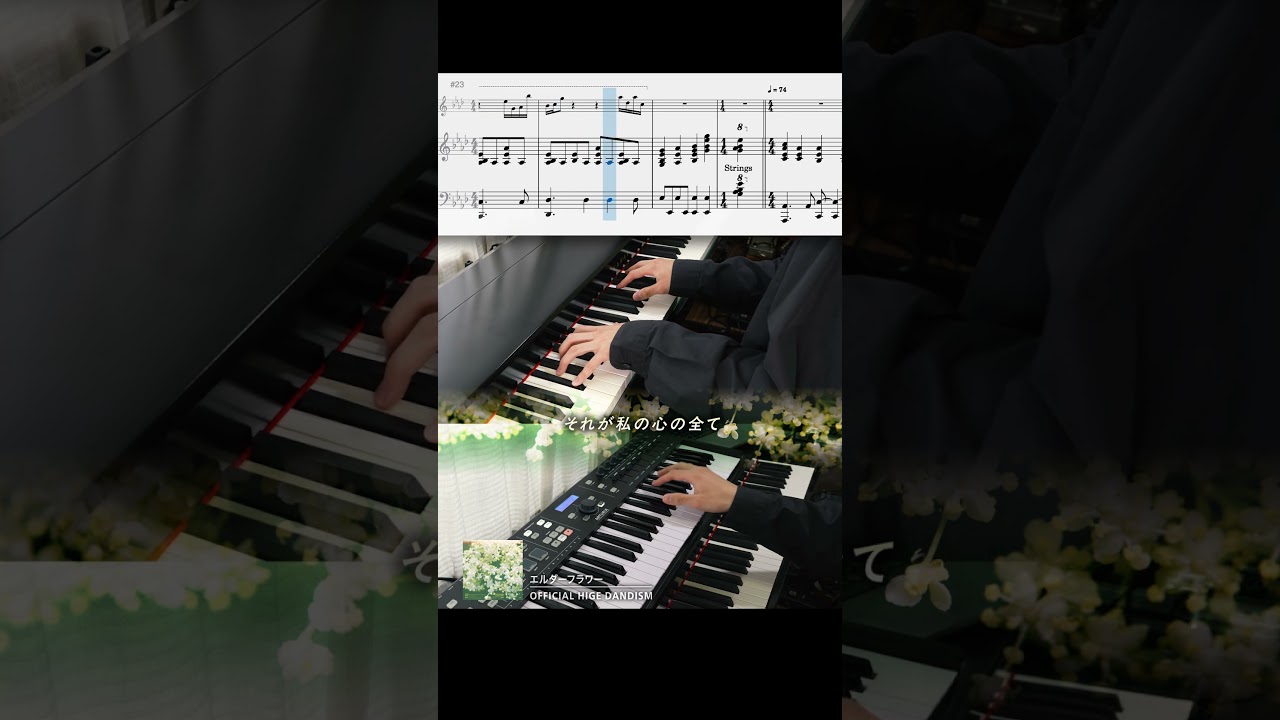 エルダーフラワーのBメロピアノパートが美しすぎる...💐 #official髭男dism #キーボード #髭男