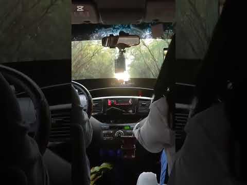 Maravillas del Alto Paraná-Paraguay Túnel de Árboles. Simplemente impresionante y hermoso