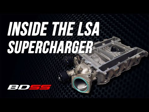 Inside LSA Superchargers I Blackdog Speed Shop