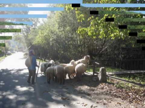 The Magnificent Motru Sec, part II | Traveler in World