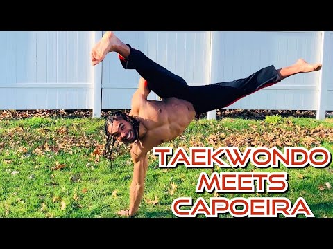 Taekwondo And Capoeira Kicking | Martial Arts Training
