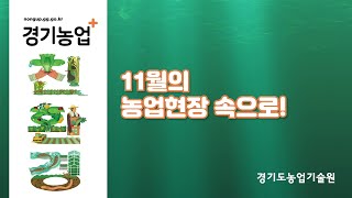 (이달의 농업현장) 10월의 농업현장 속으로!
