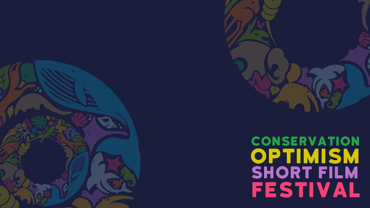Conservation Optimism Short Film Festival 2020