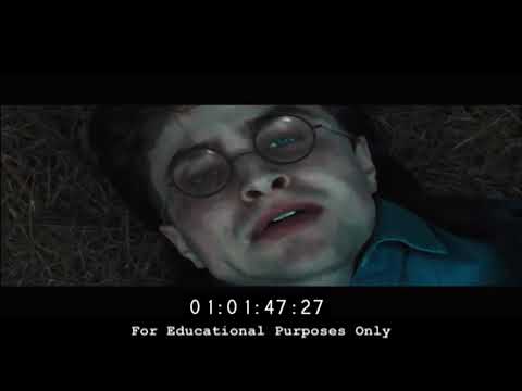 Scene from Harry Potter and the Deathly Hallows Part I with my score
