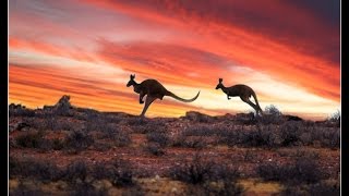 RatCat  LIVE  I Think Were Alone &amp; Now Yes I Wanna Go Rat Cat