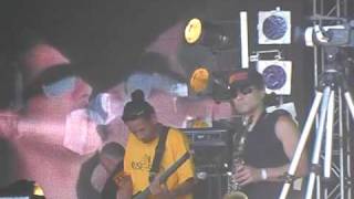 House of shem - Party