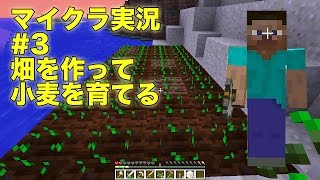 【ともくろ】のマインクラフト実況#03 畑を作って小麦を育てる