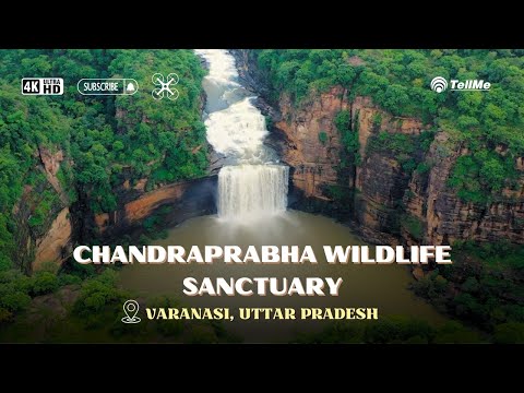 Discovering the Chandraprabha wildlife sanctuary I Varanasi I Uttar Pradesh