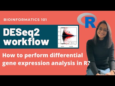 DESeq2 workflow tutorial | Differential Gene Expression Analysis | Bioinformatics 101