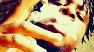 Hell Rell x I Just Want Them Bandz