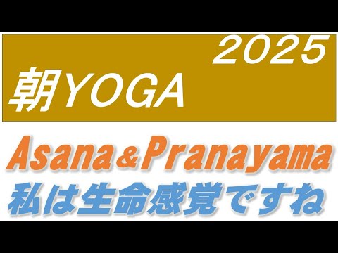 仏教学科 【11月9日日曜日】瞑想Time7am・30 minutes & Asana Pranayama配信