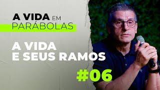 #06 - A videira e seus ramos - Zé Bruno