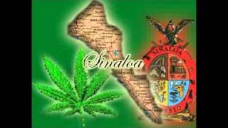 Regulo Caro y Alfredito Olivas- El Patroncito