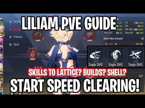 Liliam PvE Guide - Best Builds & Stats [Etheria: Restart]