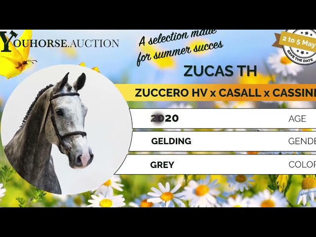 Zucas showvideo indoor