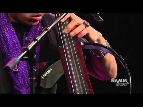 Dana Leong and DJ Icewater Perform Live at The 2013 NAMM Show