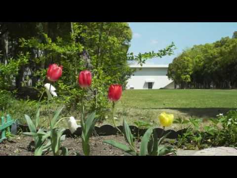 人文社会学科 【不在の時間#2】三河のからっ風　 愛知大学豊橋キャンパス20200422