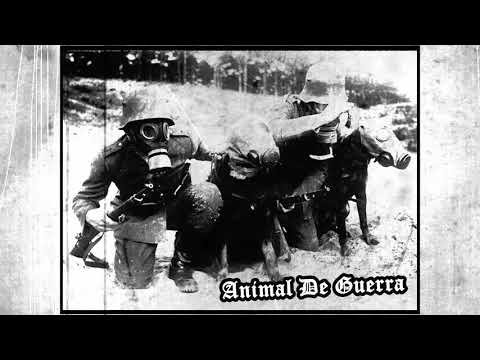 ANIMAL DE GUERRA - INVASIÓN YANKEE (2018)