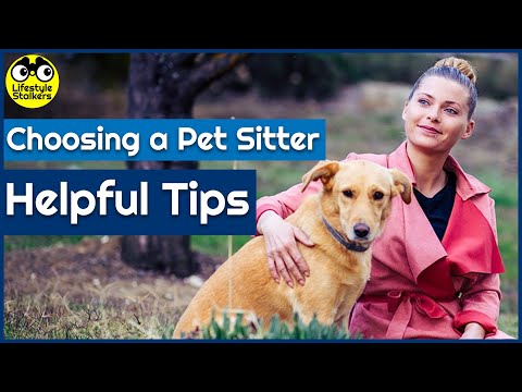 Choosing a Pet Sitter (WHAT YOU NEED TO KNOW!)