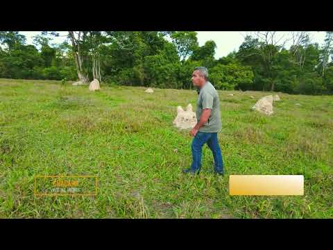 Chácaras de 20 mil m² com Água Corrente em Alexânia/GO | Entrada a partir de R$ 16 mil