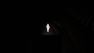 【ホラゲ】愛犬とド田舎で散歩するゲーム【たんぼ】切り抜き #ゲーム