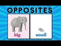 Opposite Words English Words