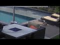Kermit Falling In The Pool Meme