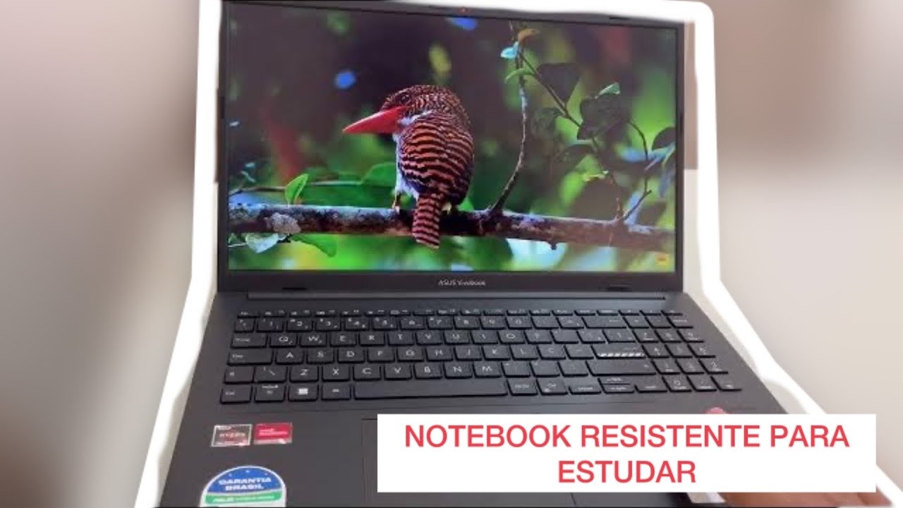 PRIMEIRAS IMPRESSÕES: NOTEBOOK ASUS VIVOBOOK GO 15